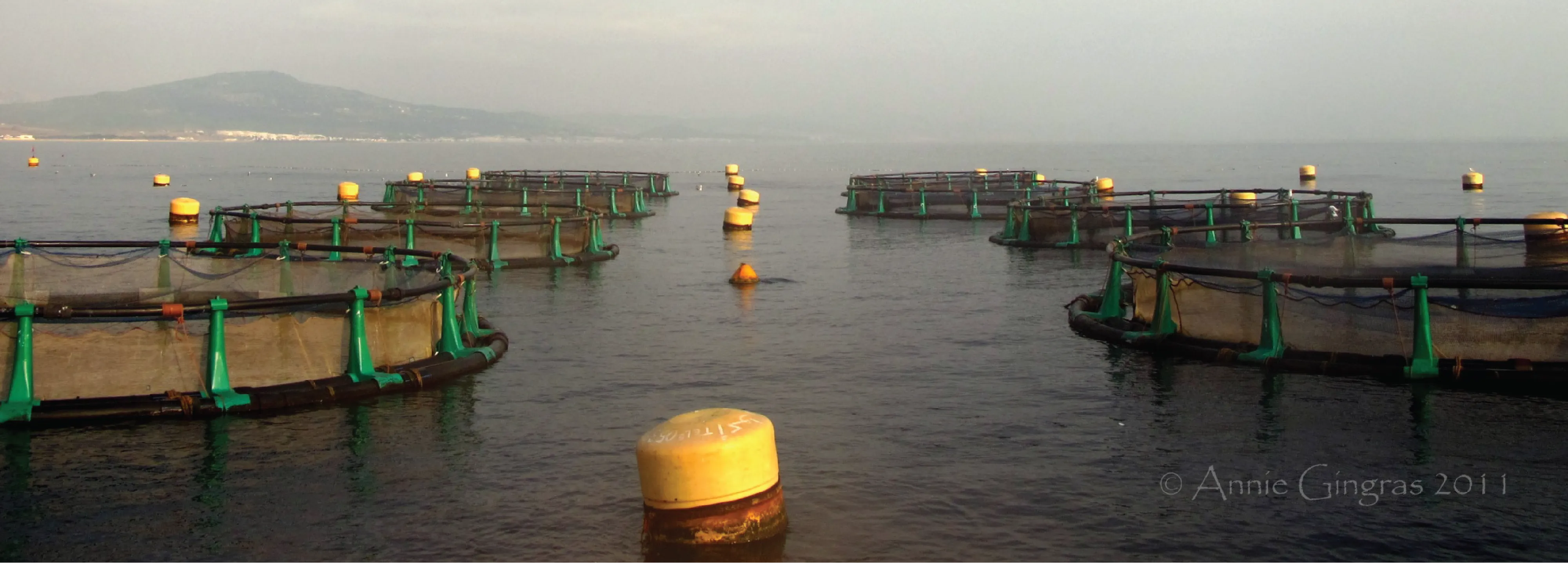 Panorama complet de la ferme aquacole au large de M'diq